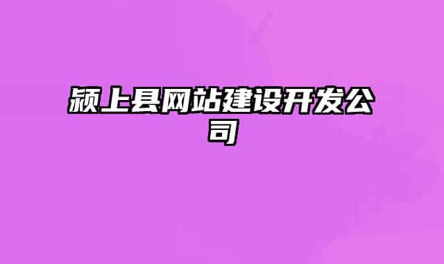 颍上县网站建设开发公司