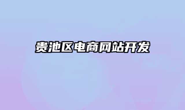 贵池区电商网站开发