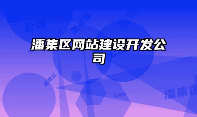 潘集区网站建设开发公司