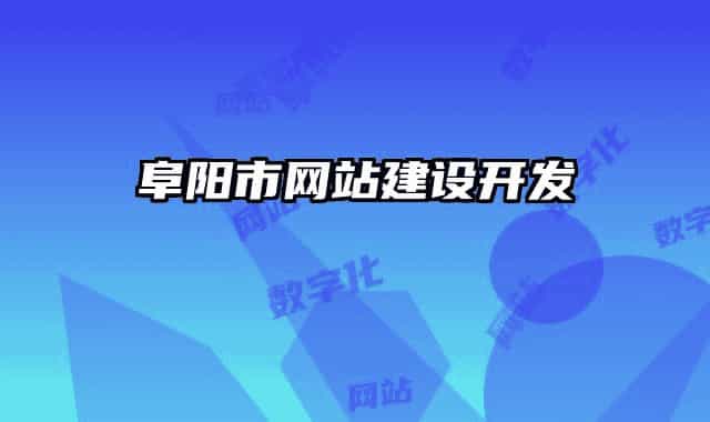 阜阳市网站建设开发