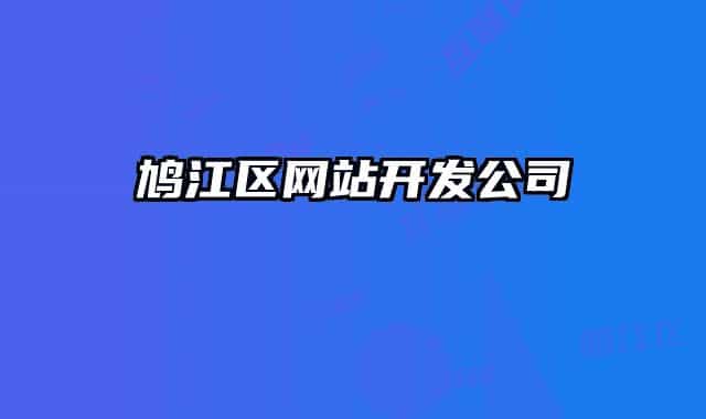 鸠江区网站开发公司