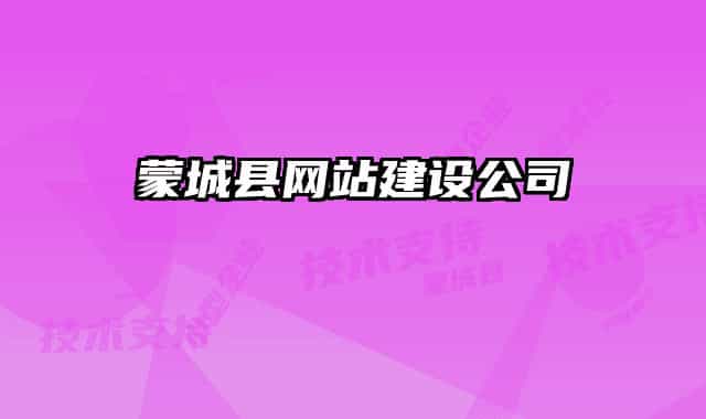 蒙城县网站建设公司