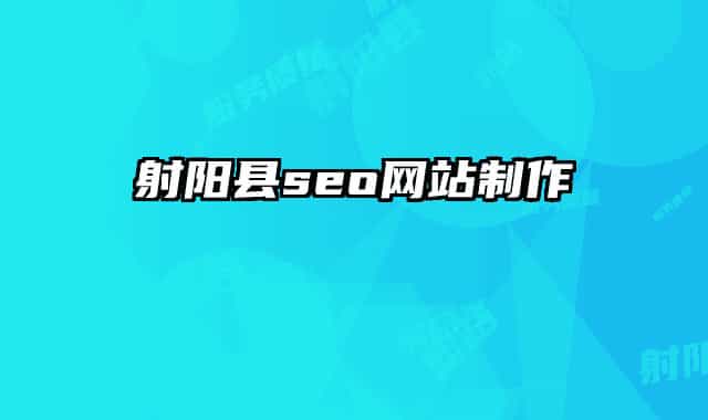 射阳县seo网站制作