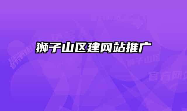 狮子山区建网站推广