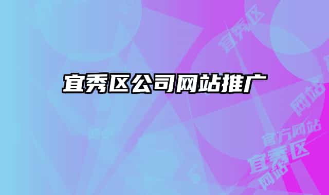 宜秀区公司网站推广
