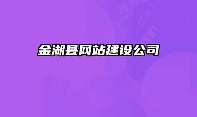 金湖县网站建设公司