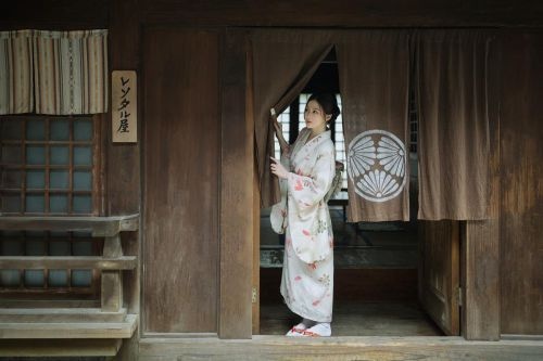 郎溪县网站建设多少钱