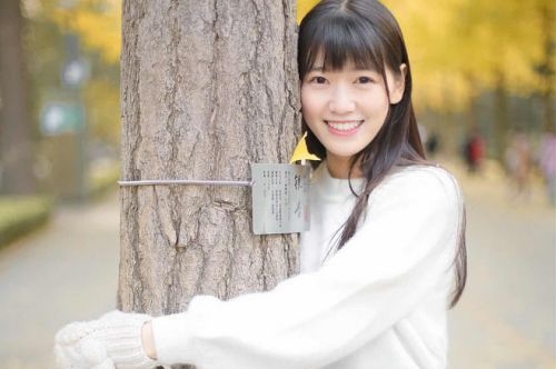 蜀山区网站建设开发公司