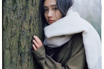企业网站项目介绍