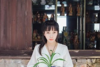 聊城网站推广公司